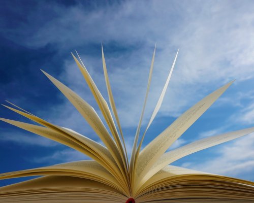 121111594_111019597439398_6725191784273812732_n